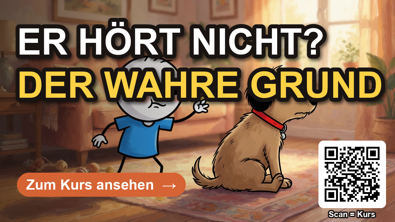 Video-Vorschau, warum dein Hund nicht hört und was wirklich hilft